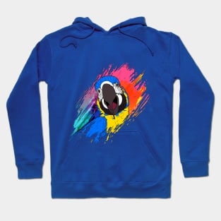 Macaw Hoodie